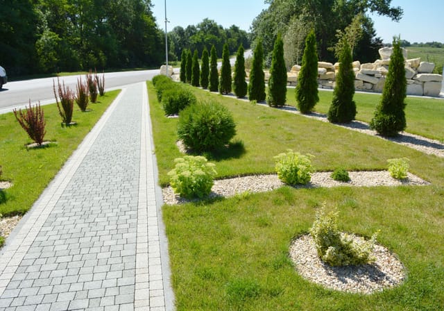 Paver walkway, trimmed grass, young shrubs, tall evergreen trees, and a decorative stone wall.